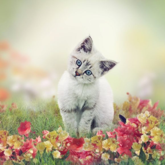 Thumbnail of post image 190