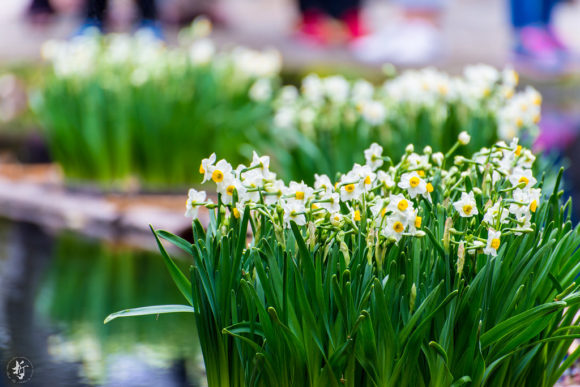 Thumbnail of post image 044