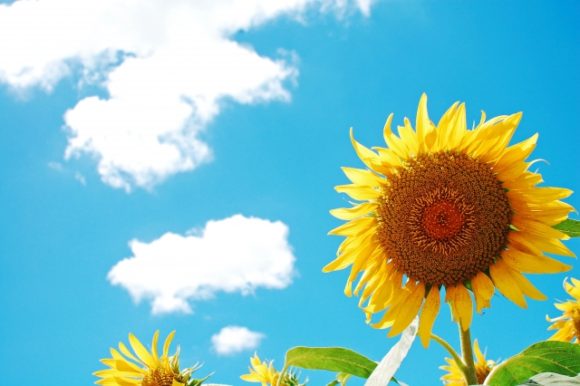 Thumbnail of post image 182