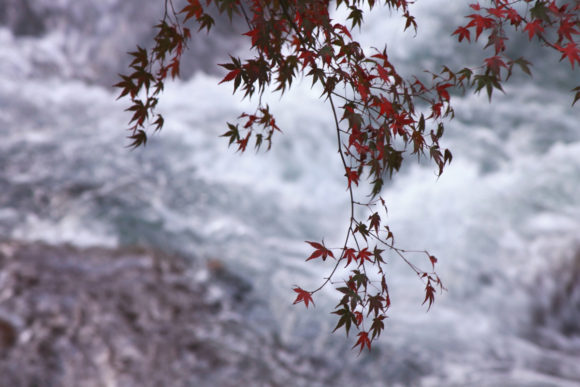 Thumbnail of post image 146