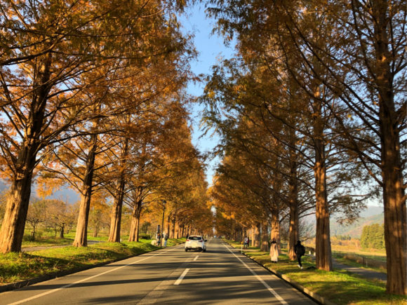 Thumbnail of post image 032