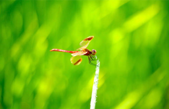 Thumbnail of post image 089