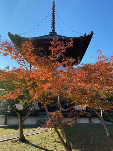 Thumbnail of post image 026