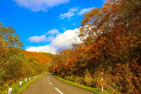 Thumbnail of post image 140