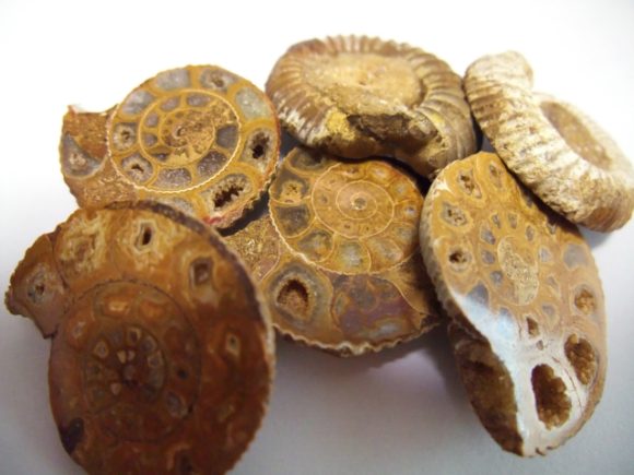 Thumbnail of post image 118