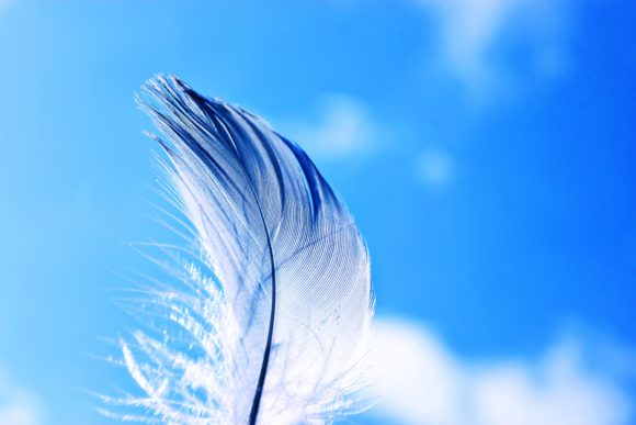 Thumbnail of post image 129