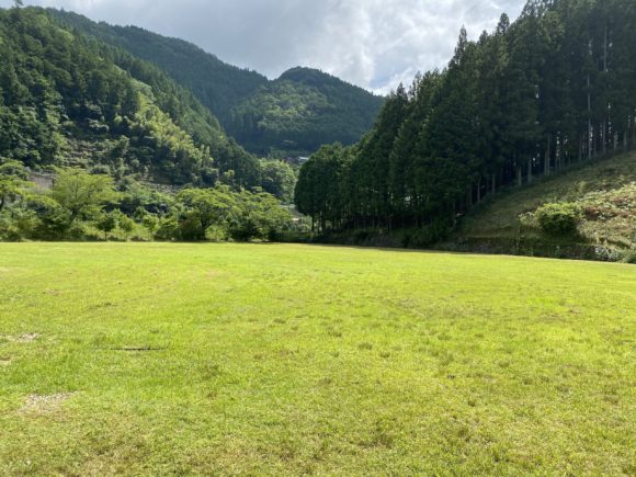 Thumbnail of post image 012