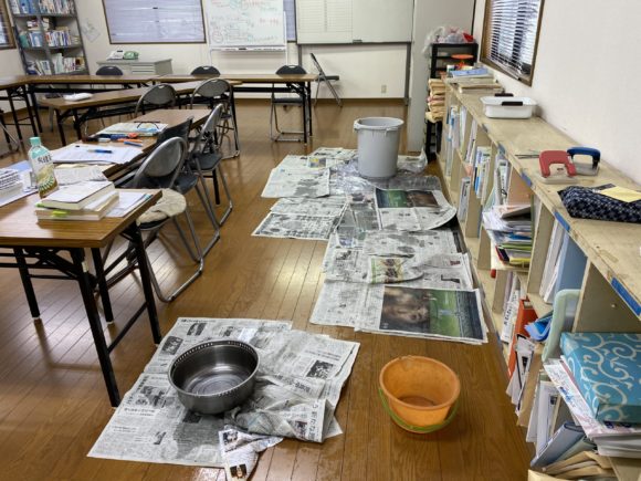 Thumbnail of post image 146