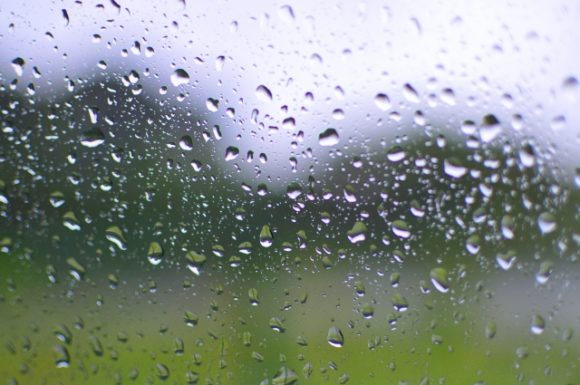 Thumbnail of post image 009