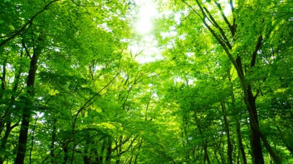 Thumbnail of post image 157