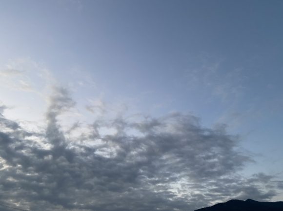 Thumbnail of post image 092