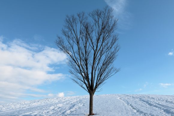 Thumbnail of post image 063