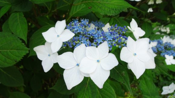 Thumbnail of post image 038