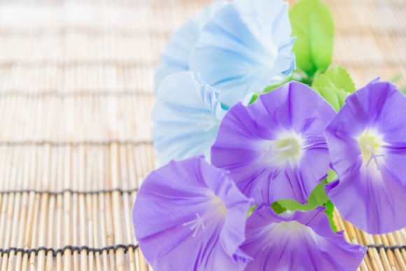 Thumbnail of post image 027