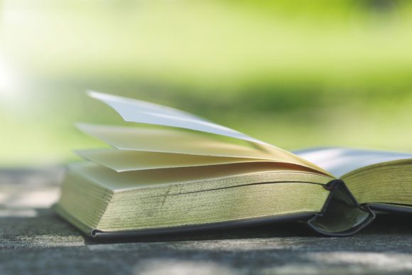 Thumbnail of post image 157