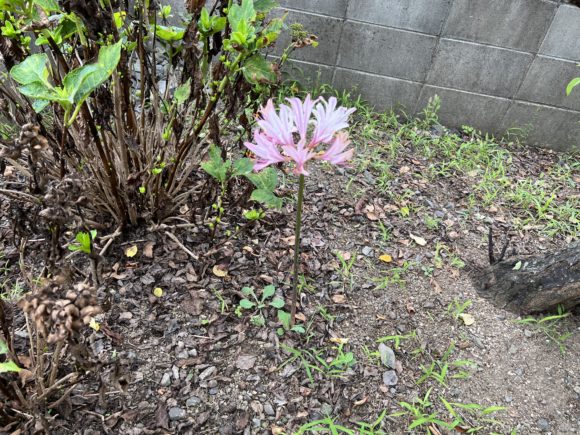 Thumbnail of post image 012