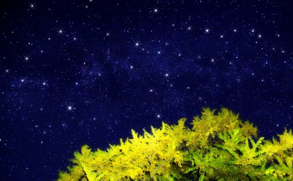 Thumbnail of post image 162