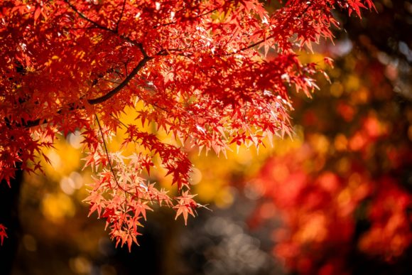 Thumbnail of post image 161