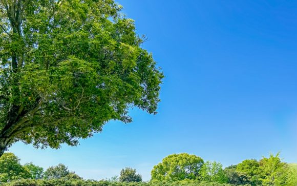 Thumbnail of post image 147