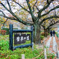 Thumbnail of related posts 093