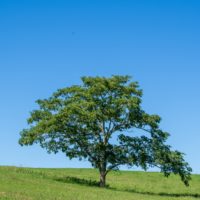 Thumbnail of related posts 146