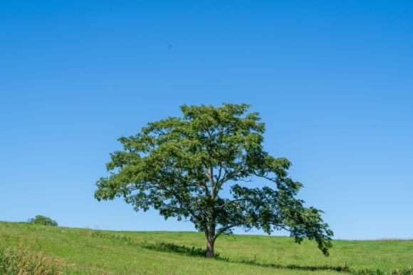 Thumbnail of post image 070