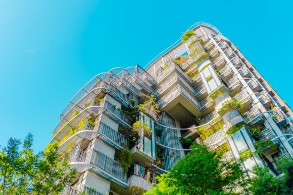 Thumbnail of post image 044